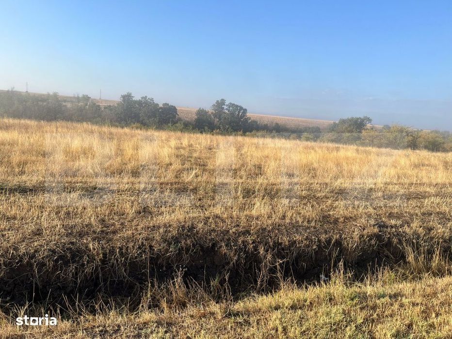 Teren extravilan, 2.500 mp, sat Sarbatoarea