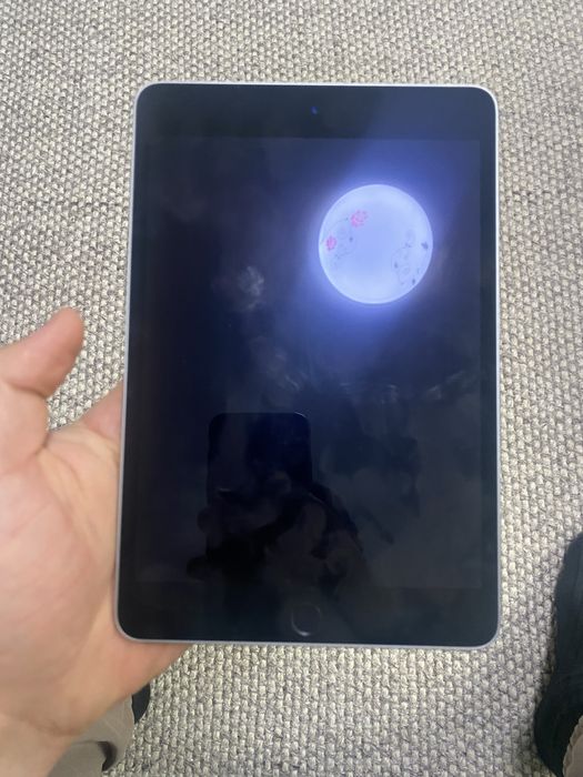 apple ipad mini 4