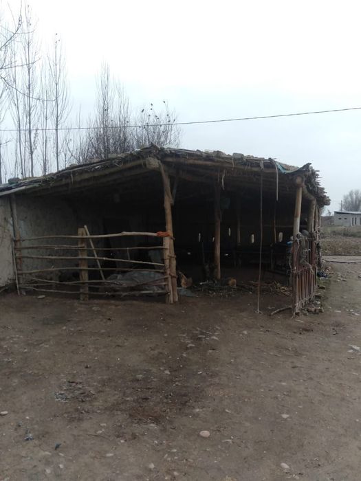 Үй сотилади Бока туманида