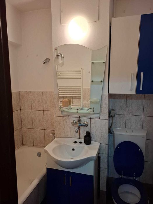 Apartament cu o camera in cartierul Dambu