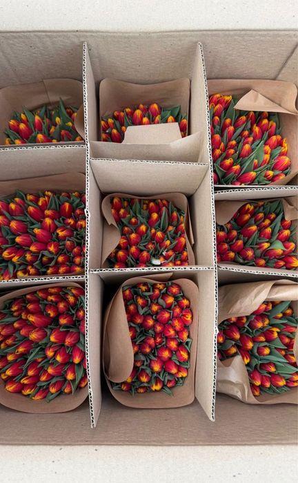 Тюльпаны 850 тг оптом