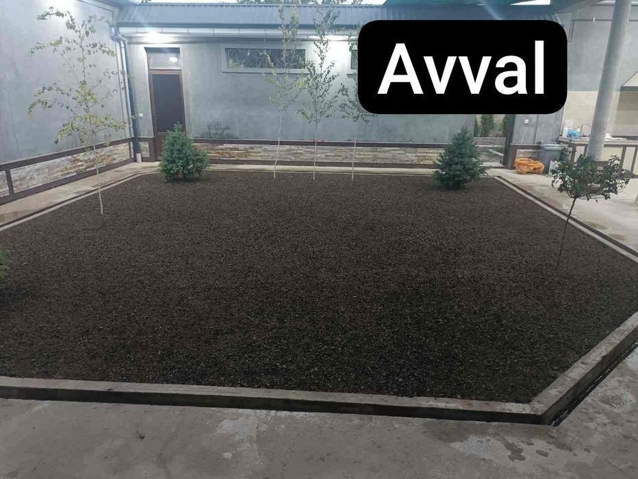 Газон ва гуллар.