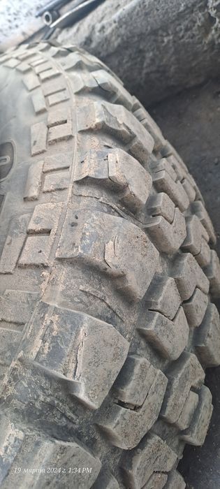 Продам резину кардиант