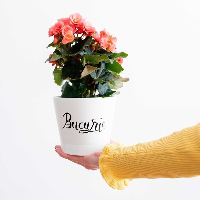 Vand magazin online cu decoratiuni pentru casa (Made in Romania)