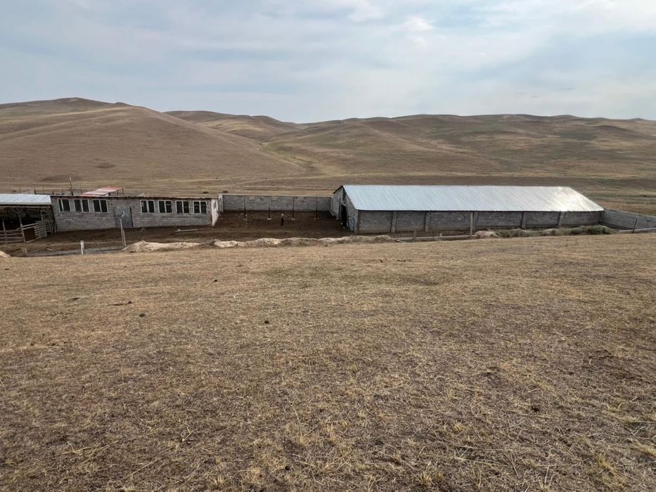 продается Фазенда