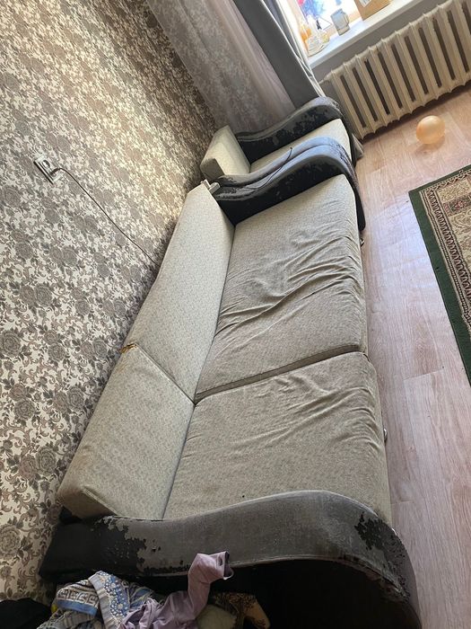 Отдам  бесплатно