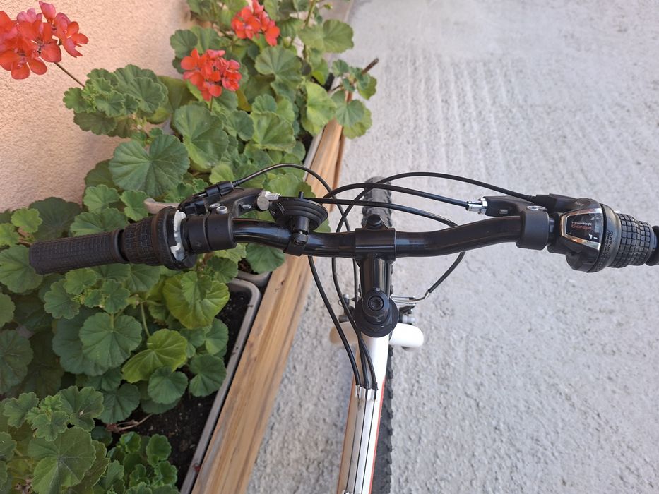 Колело Drag 24 цола 75 €