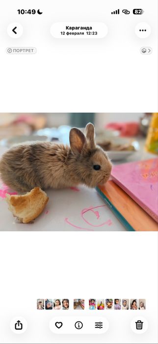 Кролик с клеткой