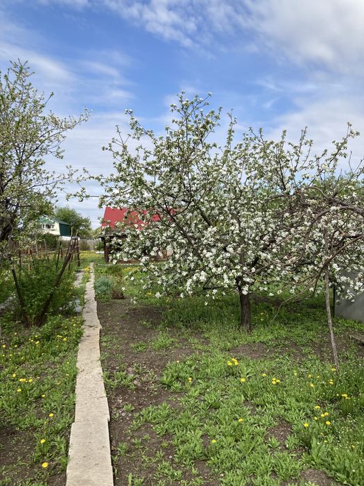 Дачный участок в черте города