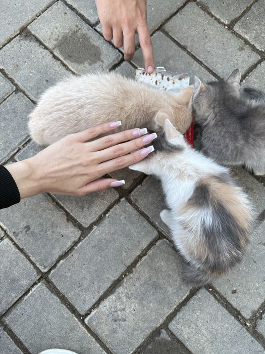 Добрые люди не отходите мимо