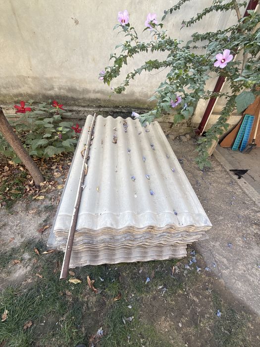 Shifir sotiladi holatlari narmalni kelib kôrib olasizlar