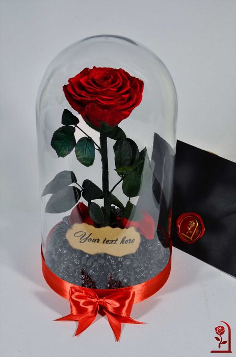Истинска Вечна Роза в Стъкленица / Роза Подарък за Рожден Ден на Жена