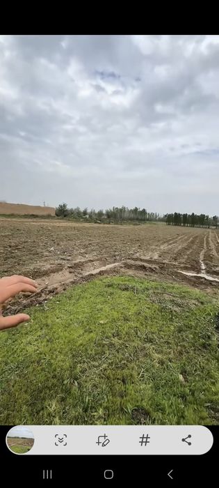Тошкент вилояти, Бекобод туманида ер сотилади