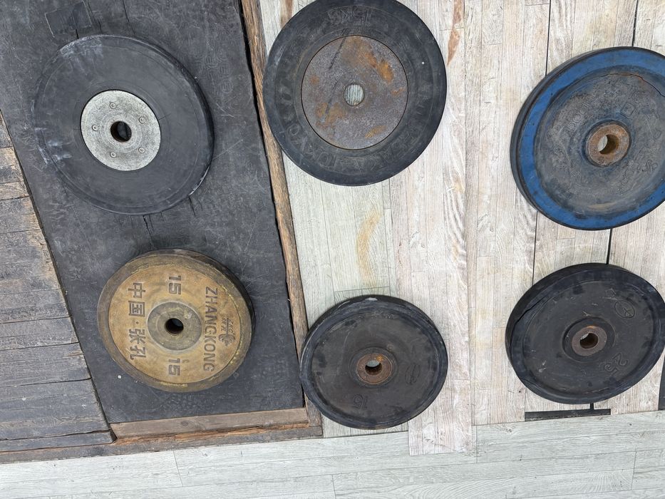 Тежести олимписийки дискове