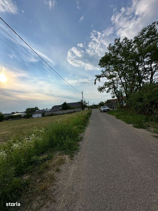Teren intravilan  – Viile Satu Mare, Str Șoimului