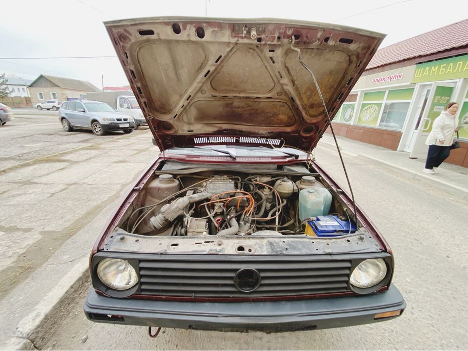 Продам  живого Golf2