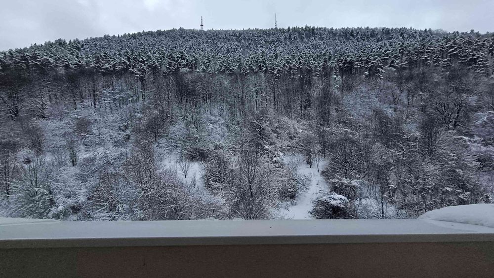 Apartament cu 2 camere , decomandat de închiriat pe termen lung