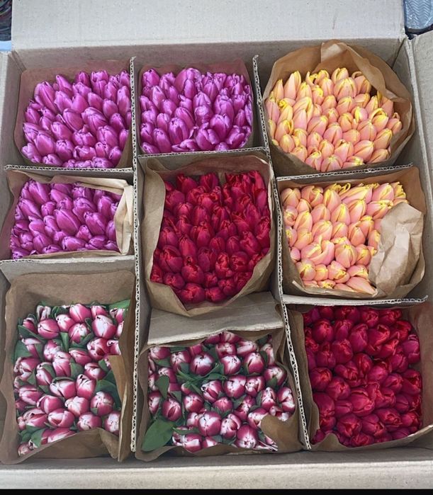 тюльпаны сорт «Белорусь» 850тг по предзаказу до 1 марта.