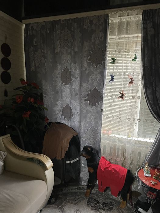 Продам комнату в общежитии