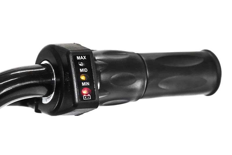 Mini Motocicleta electrica pentru copii NITRO ECO Flee 250W #Negru