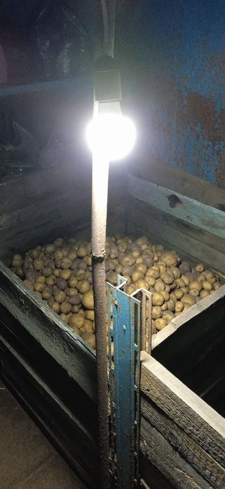 Продается дом в сортировке