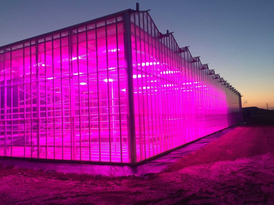 Фитолампа линейная 350Вт