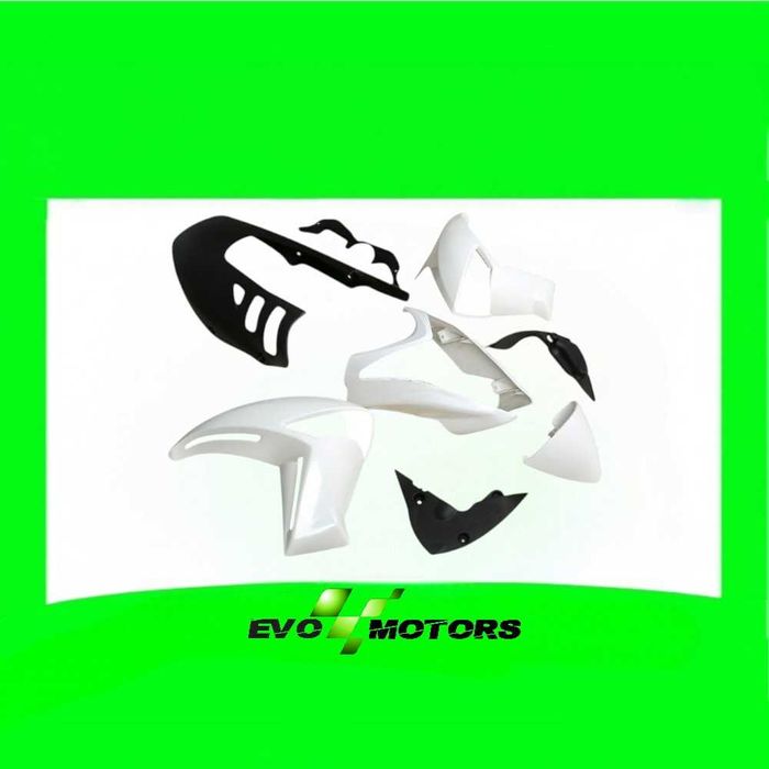 Kit carene Kawasaki ER6N 2009 2011 A1669