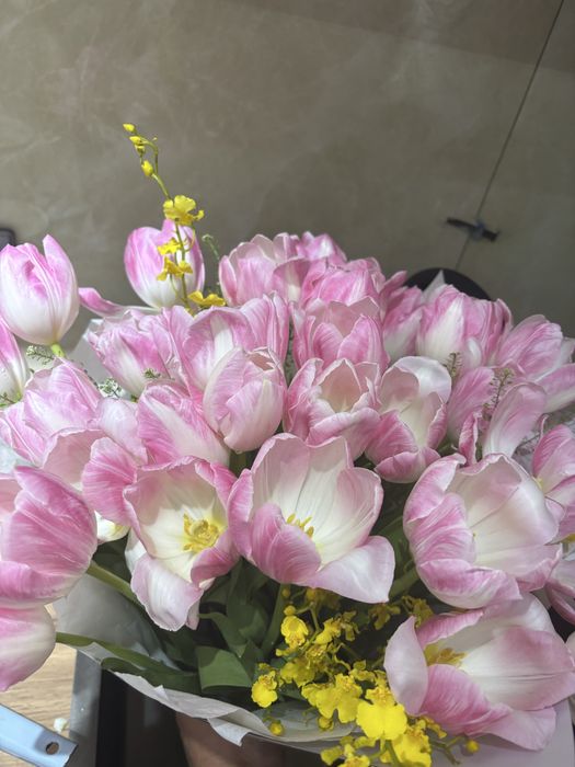 Цветы. Тюльпаны 31 штук