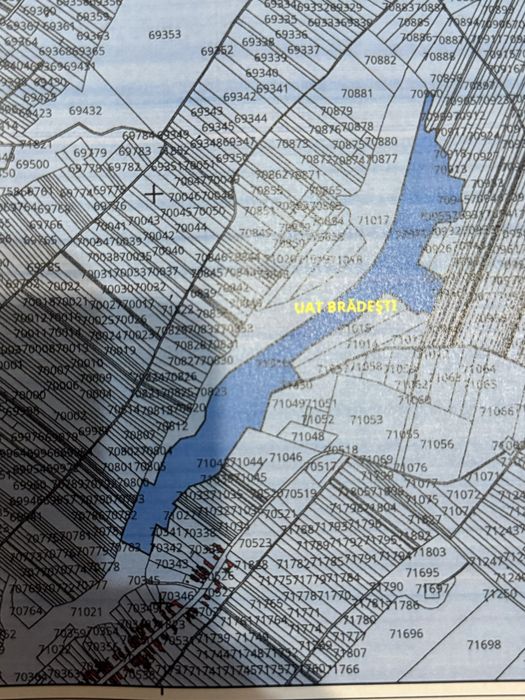 Vand   sau  schimb cu auto , 13 ,3 hectare teren cu vegetatie forestiera