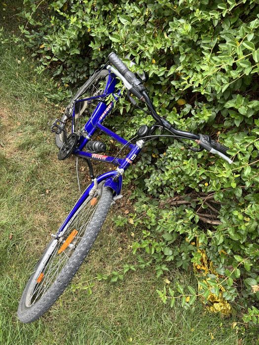 Bicicleta Made în Italy