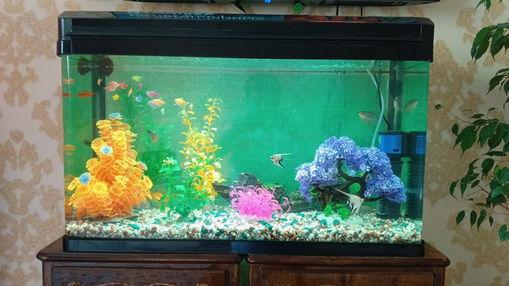 Аквариум с рыбками