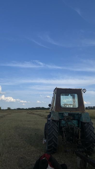 Сено сено сено.