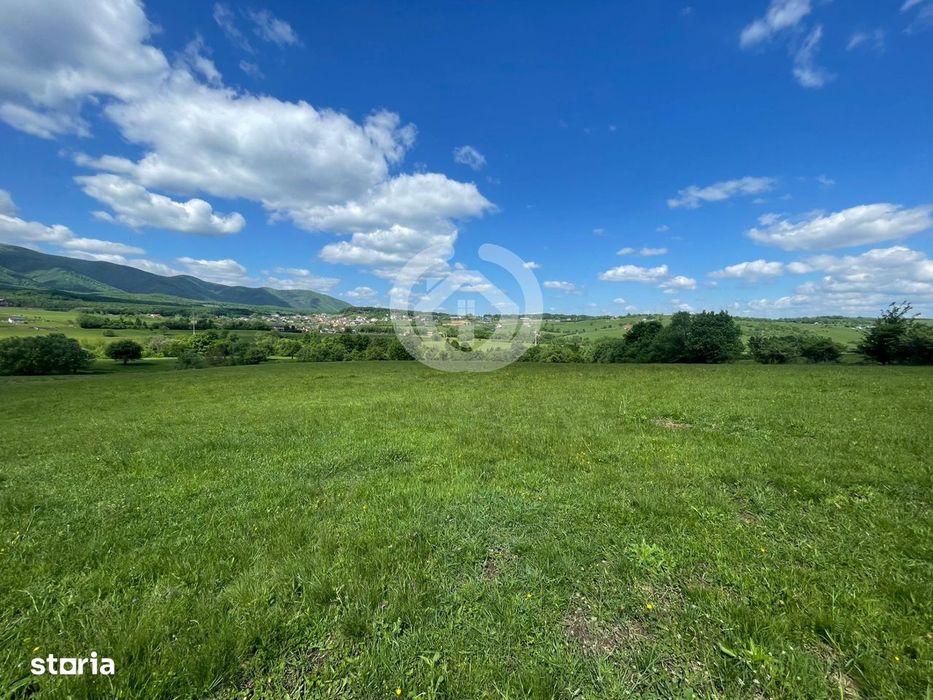 Teren extravilan | 600 mp | Deschidere 15 ml | Tocile, Sibiu