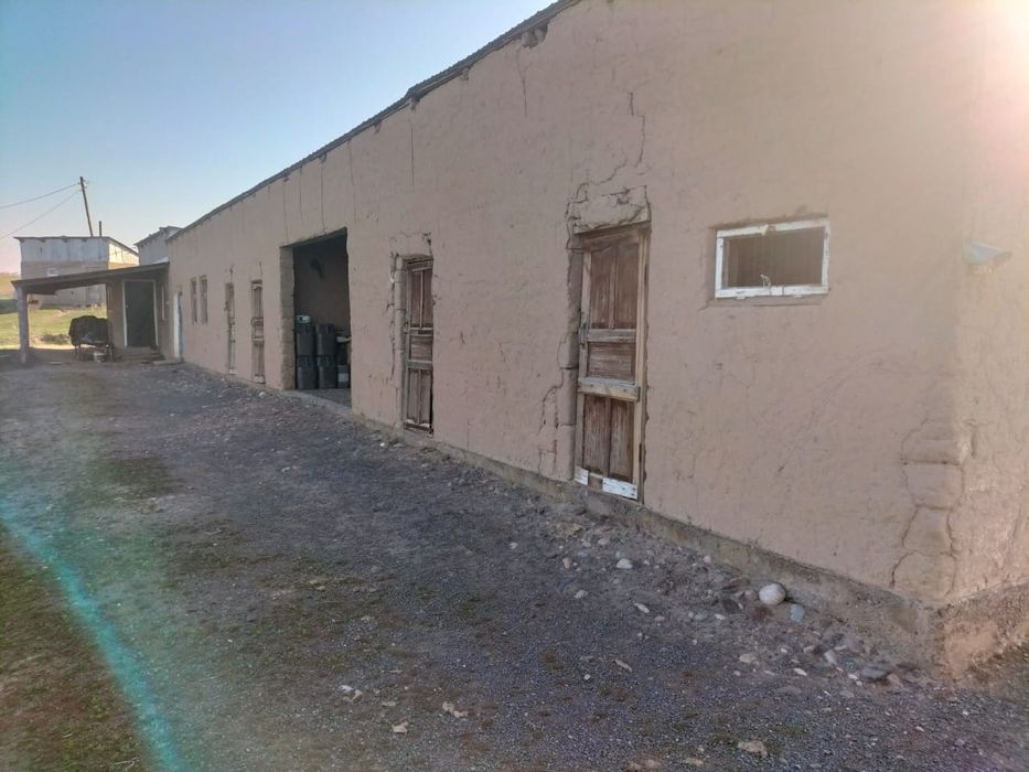 Фазенда, кашара 200га