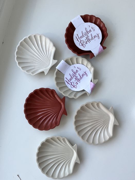 ракушки из гипса