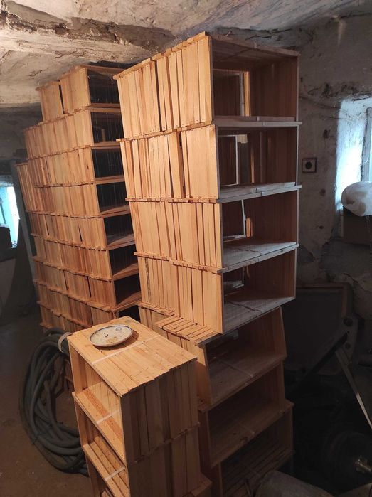 Пчелни рамки обтелени и оплодни сандъчета