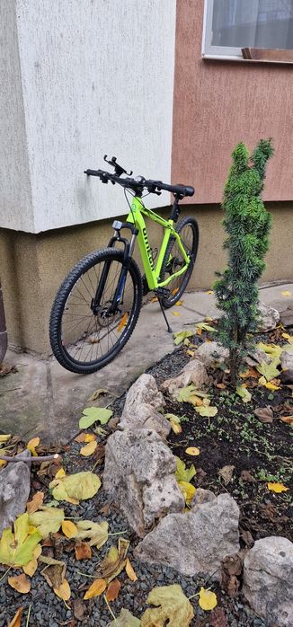 Bicicleta Rowan Omega