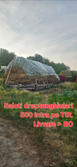 Baloti fan sau lucerna Rotunzi 40.Drept.500;Pomi Aluni Nuc.Castan.Afin