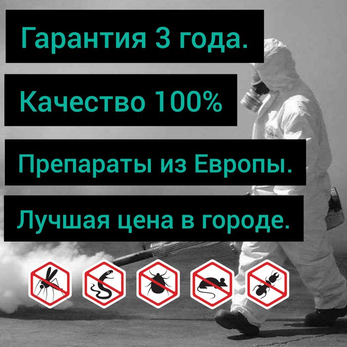 Дезинсекция от насекомых дезинфекция dezinfeksiya dizinfeksiy klopa