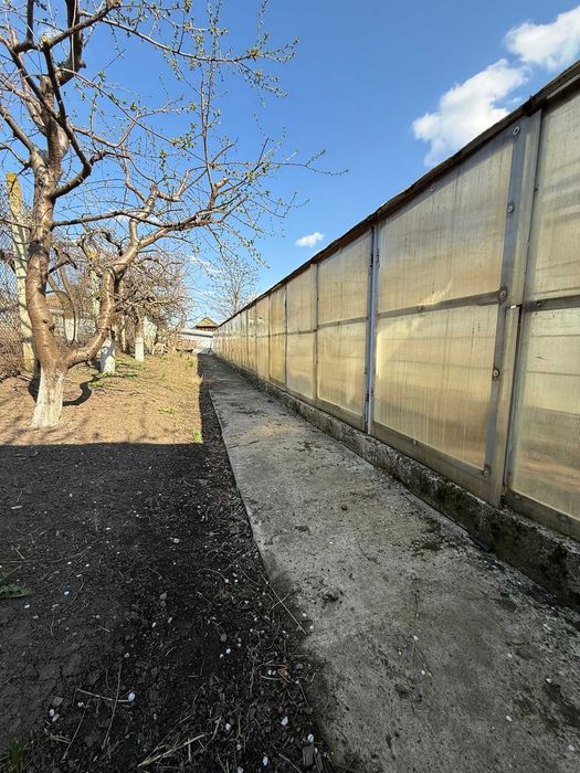 Teren de vânzare cu seră și vie în com. Belcești, jud. Iași