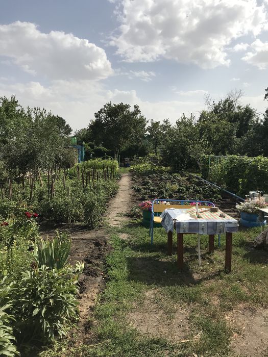 Продажа дачного участка