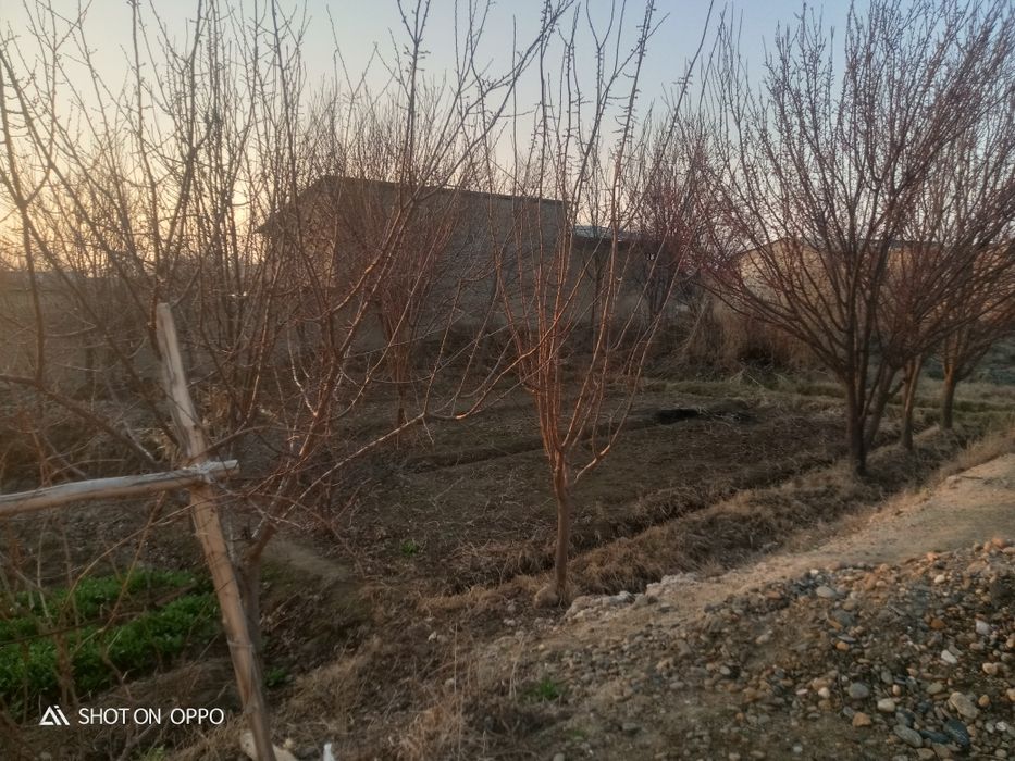 7 sotixli yer sotiladi yuli bn birga Tavoisda narxini keliwamiz