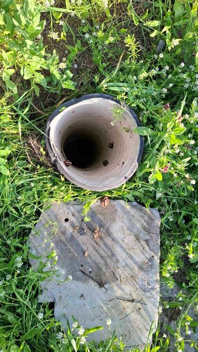 Продава се Парцел в Долна Митрополия - 7500 кв.м за 4 €/кв.м - Снимка #10