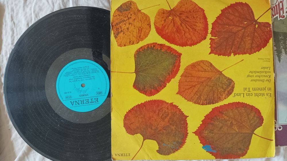 Виниловые пластинки