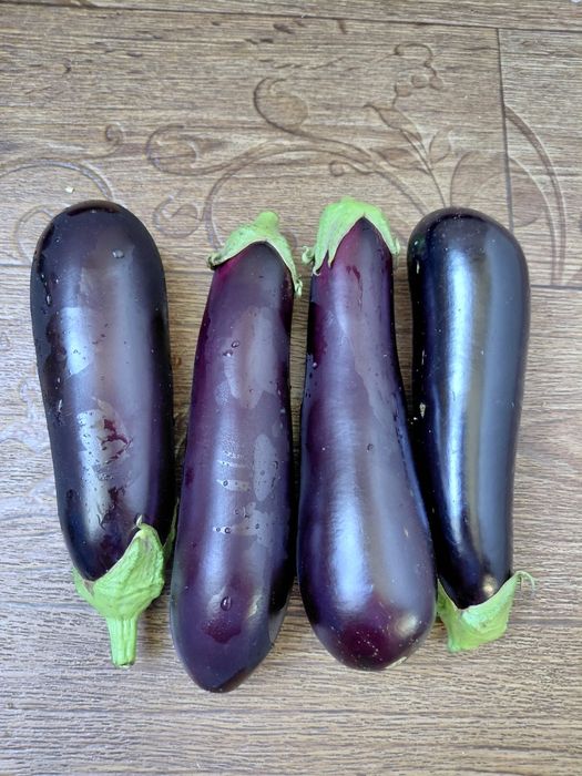 Продам баклажаны,  кабачки