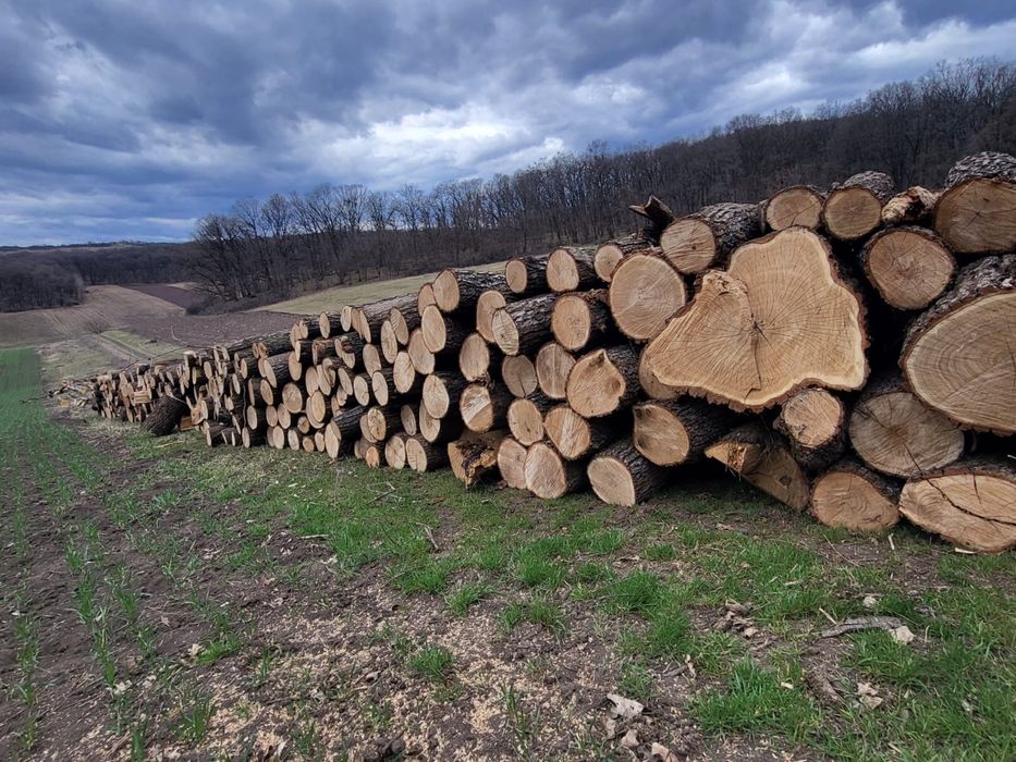 Vand lemne de foc stejar