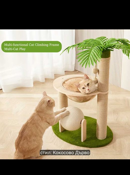 Котешка драскалка палма