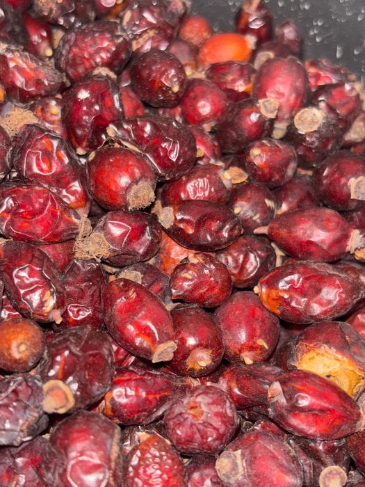 Шировник сушеный