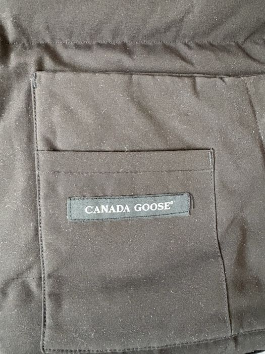 Vesta canada goose