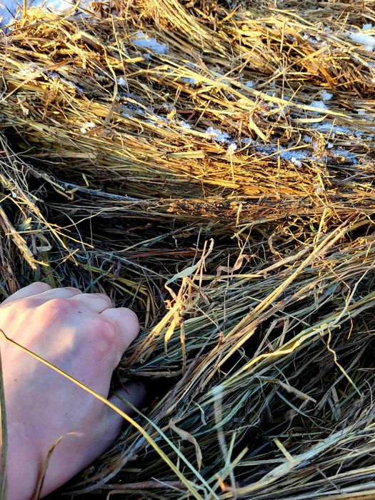 Сено рулон 24 г луговое